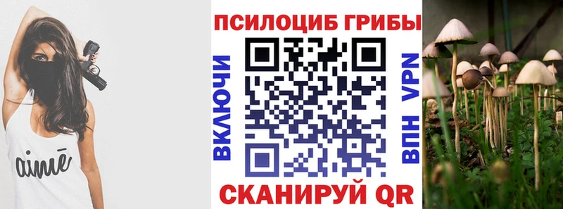 Галлюциногенные грибы GOLDEN TEACHER  Барабинск 