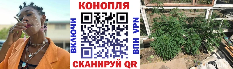 Каннабис AK-47  где купить наркотик  Барабинск 